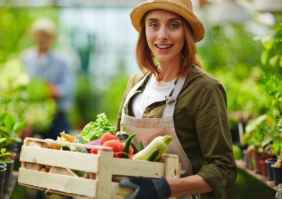 Les Problématiques des exploitants - AGMOAM AGMOAM